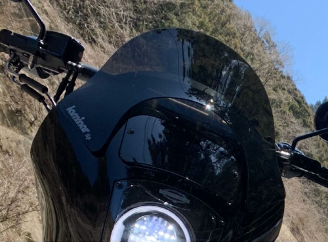 Laminar社製リップシールド ラミナーリップ