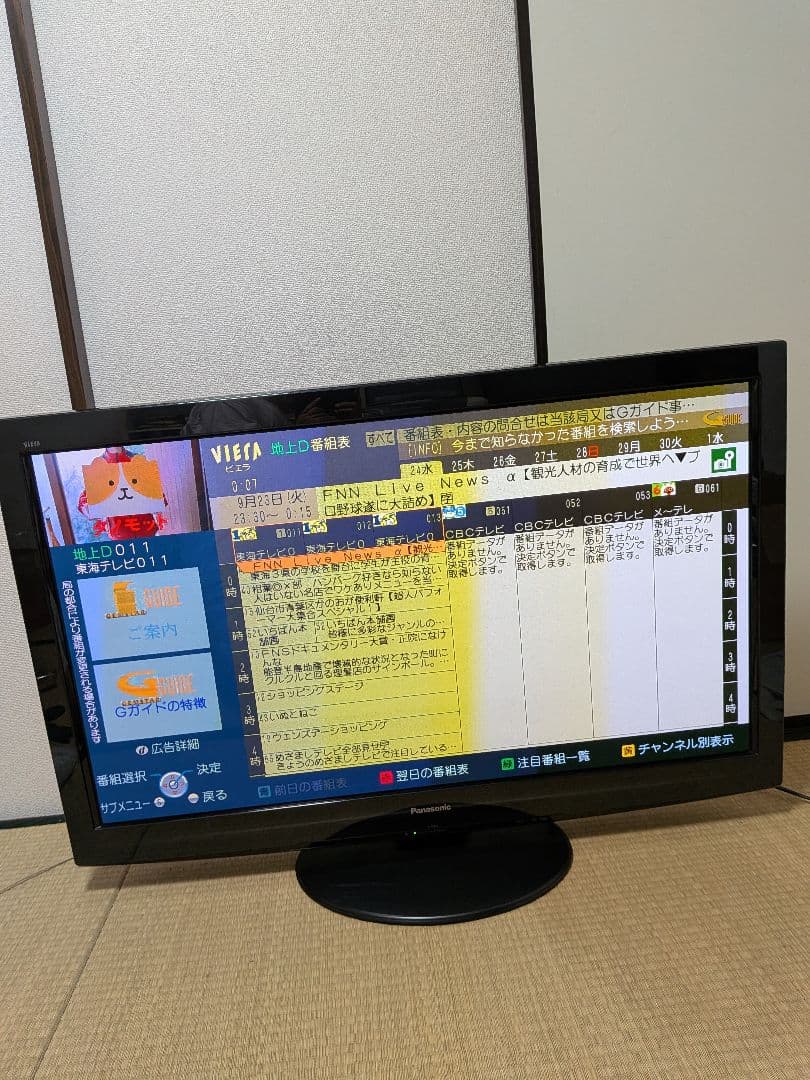 送料込み Panasonic VIERA プラズマテレビ 46V型 2010年製