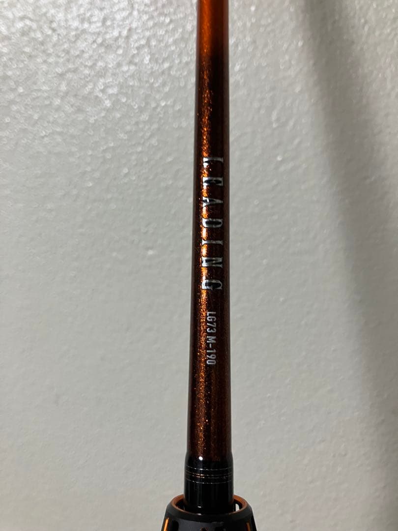 ダイワ　リーディングライトゲーム　M-190