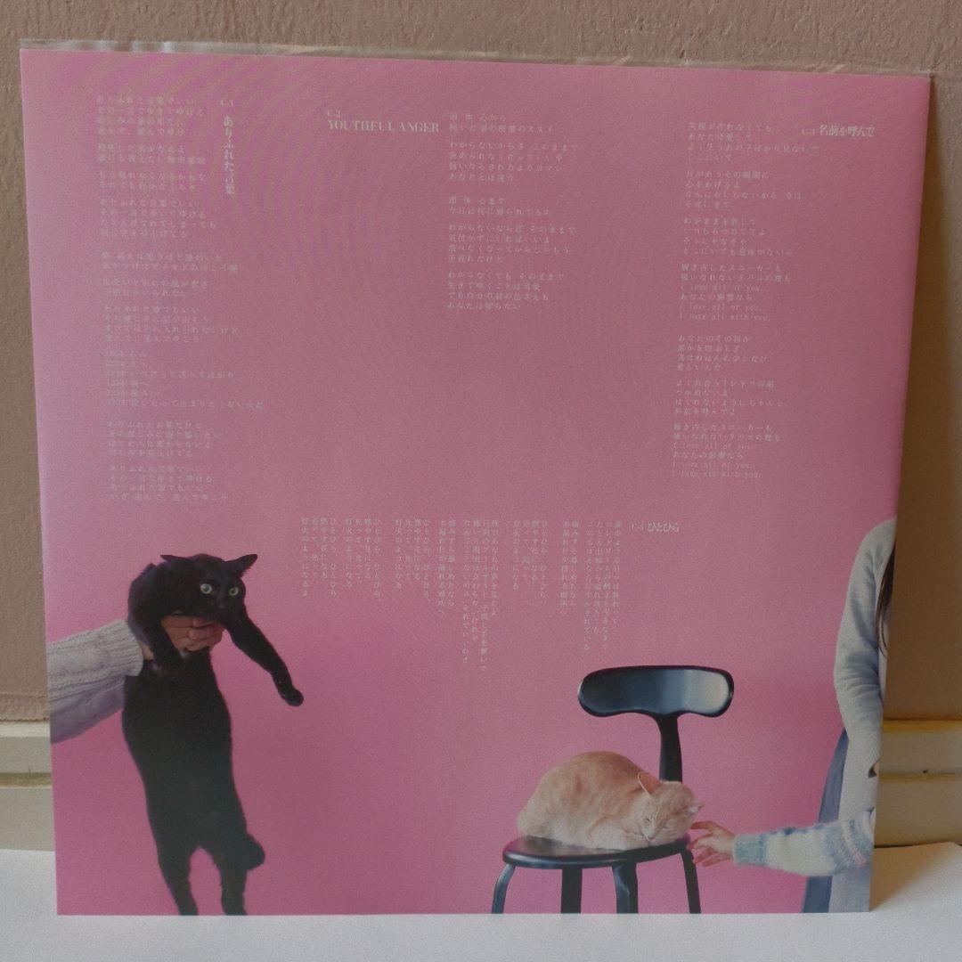 きのこ帝国 猫とアレルギー LPレコード