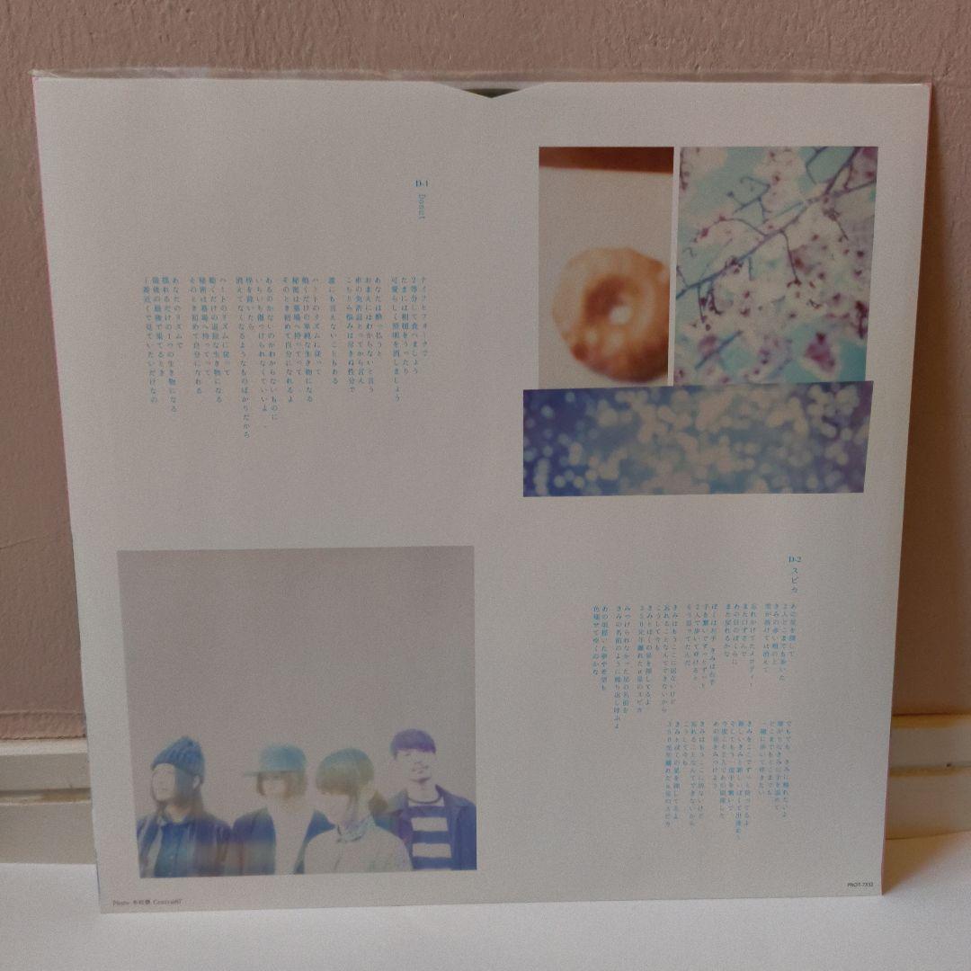 きのこ帝国 猫とアレルギー LPレコード