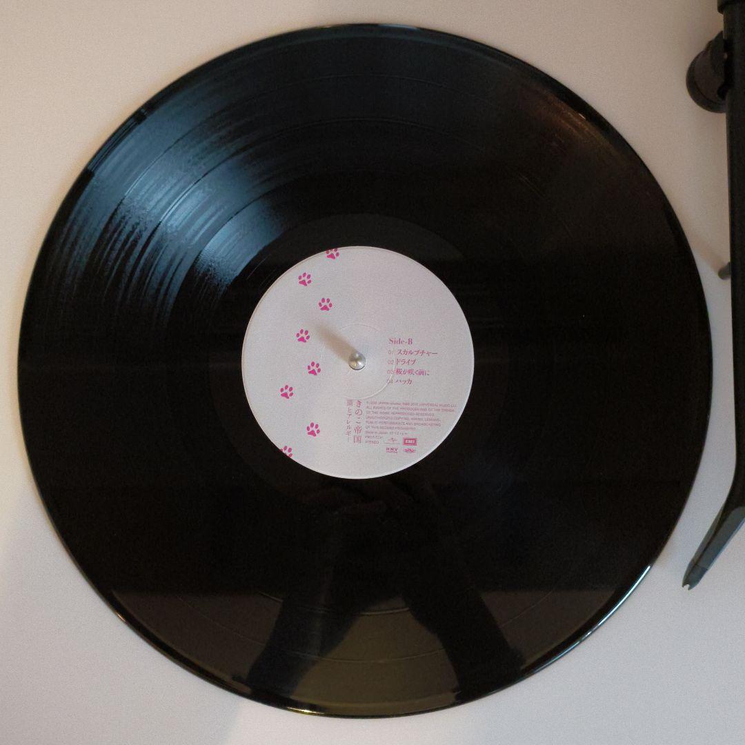 きのこ帝国 猫とアレルギー LPレコード