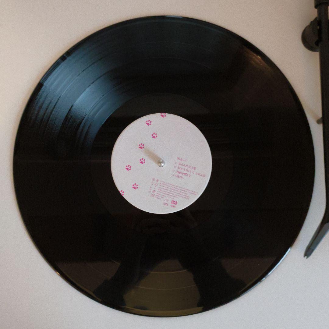 きのこ帝国 猫とアレルギー LPレコード