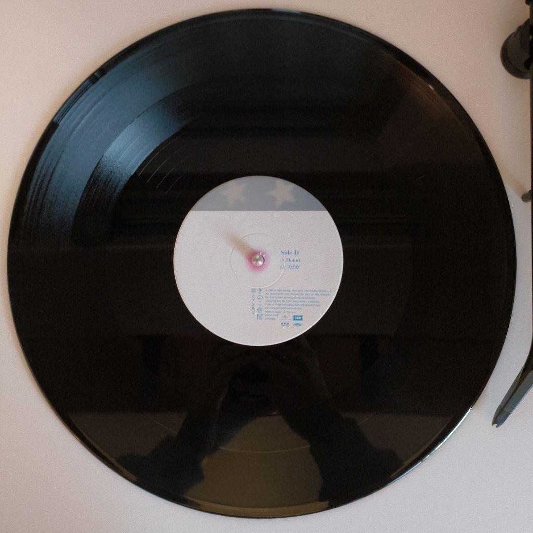 きのこ帝国 猫とアレルギー LPレコード