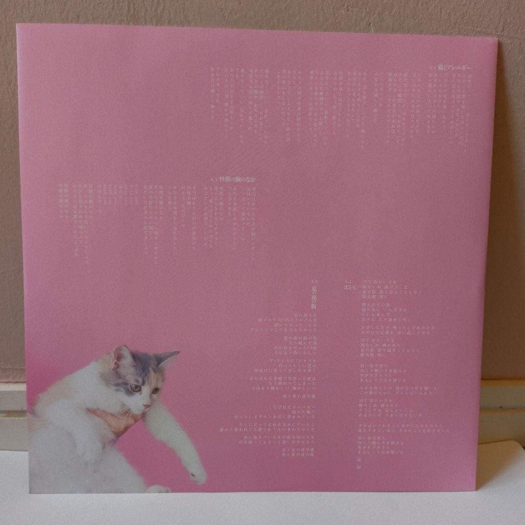 きのこ帝国 猫とアレルギー LPレコード