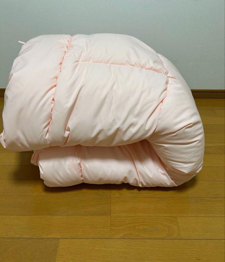 あんかけ丼　　シング1.7kg 2枚