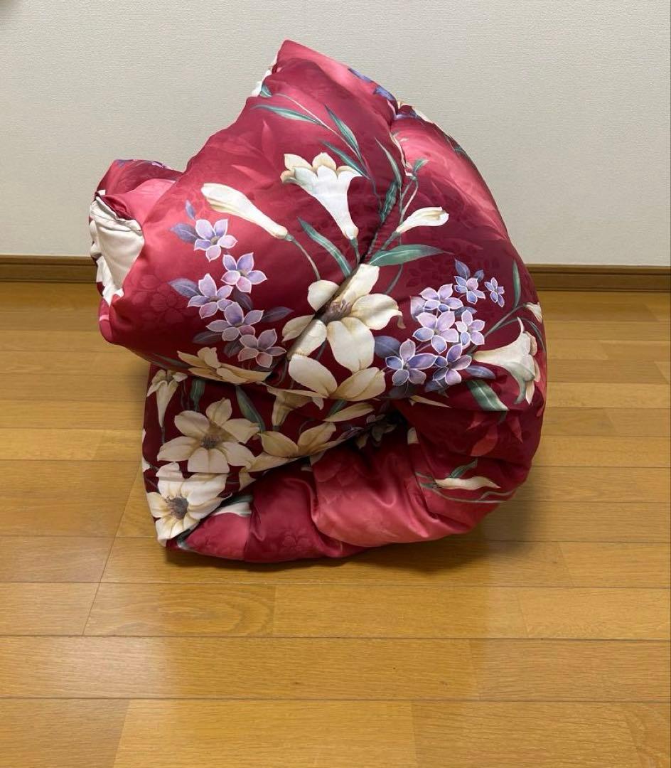 あんかけ丼　　シング1.7kg 2枚