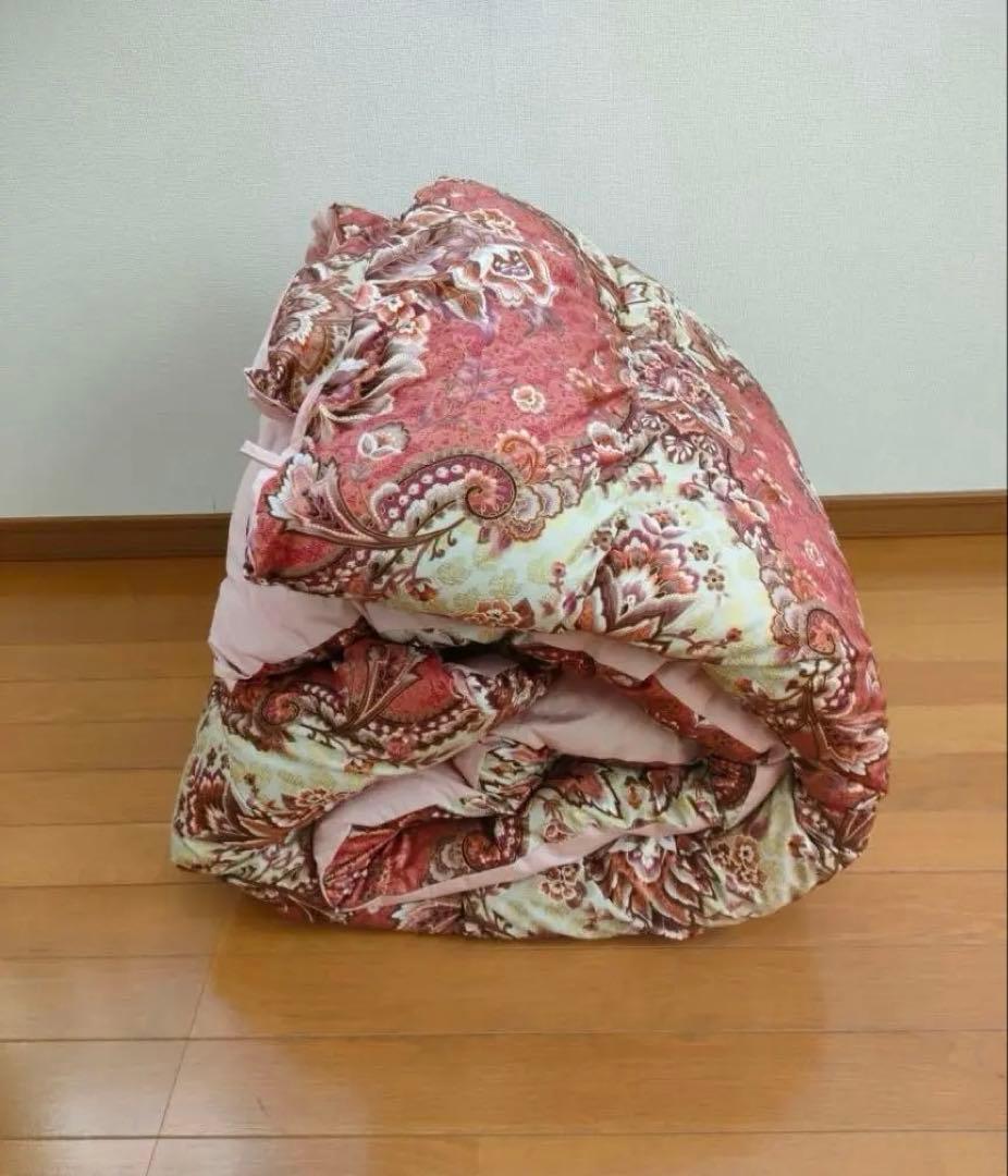 あんかけ丼　　シング1.7kg 2枚