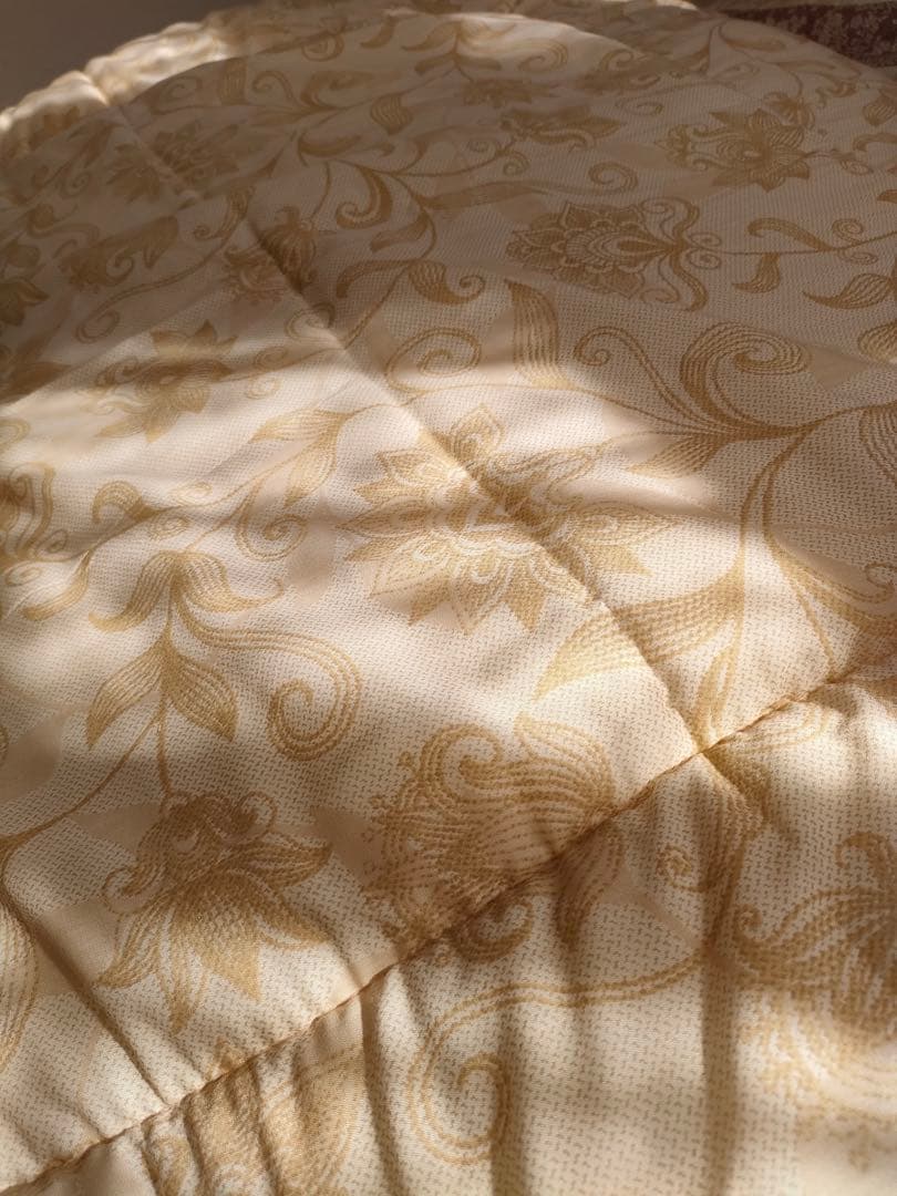 あんかけ丼　　シング1.7kg 2枚