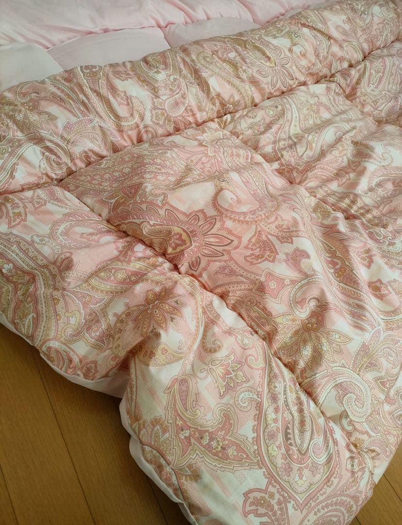 あんかけ丼　　シング1.7kg 2枚