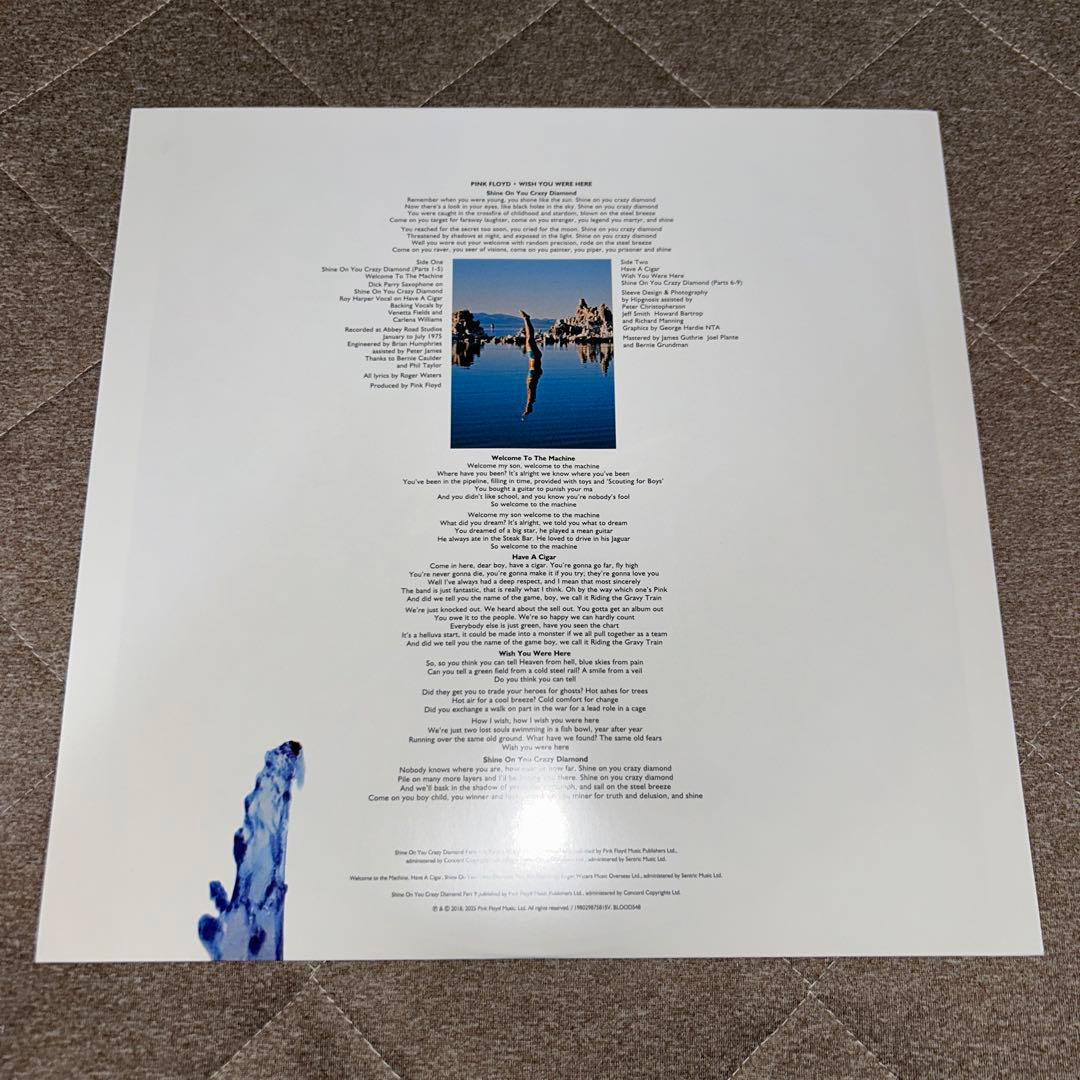 Pink Floyd Wish 限定LPレコード You Were Here