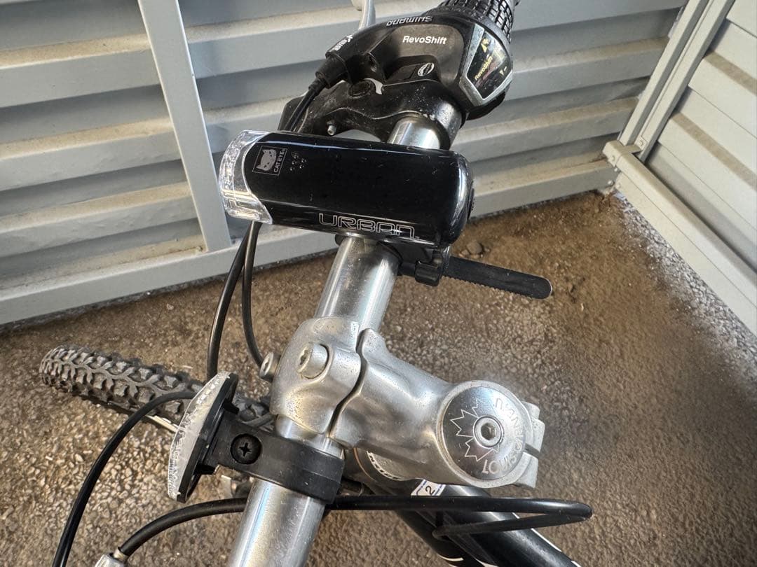 LOUIS GARNEAU 22インチ子供用自転車（手渡し希望）