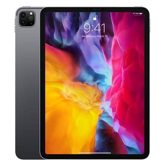 Apple iPad Pro 11インチ スペースグレー 本体とケース