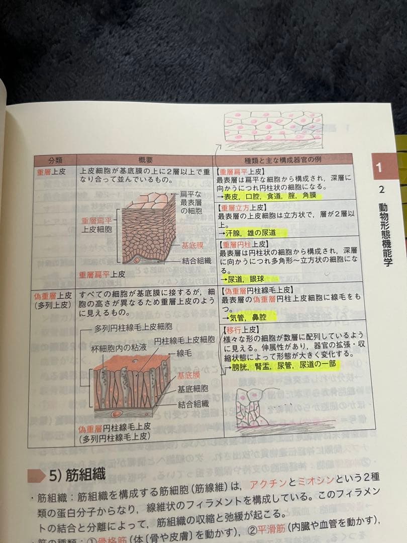 愛玩動物看護師 国家試験 参考書 5冊セット