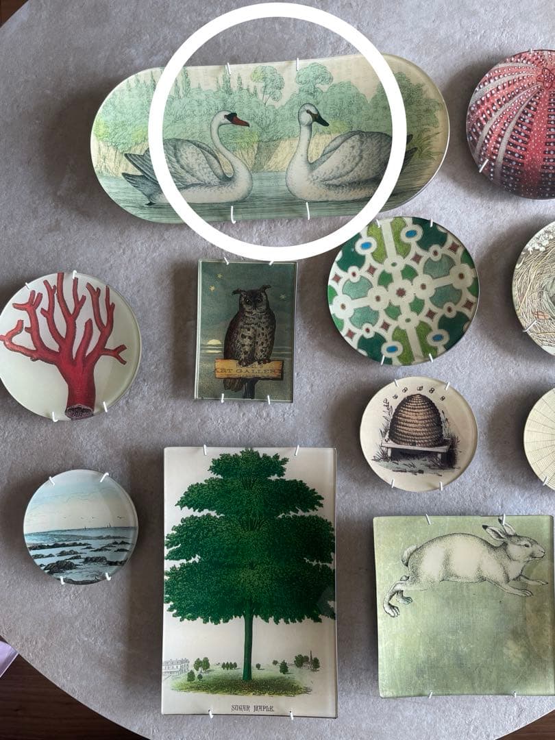 ジョンデリアン　Swans スワン　OBLONG TRAY トレイ