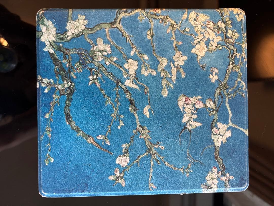 Kindle oasis 第10世代 美品、カバー付き