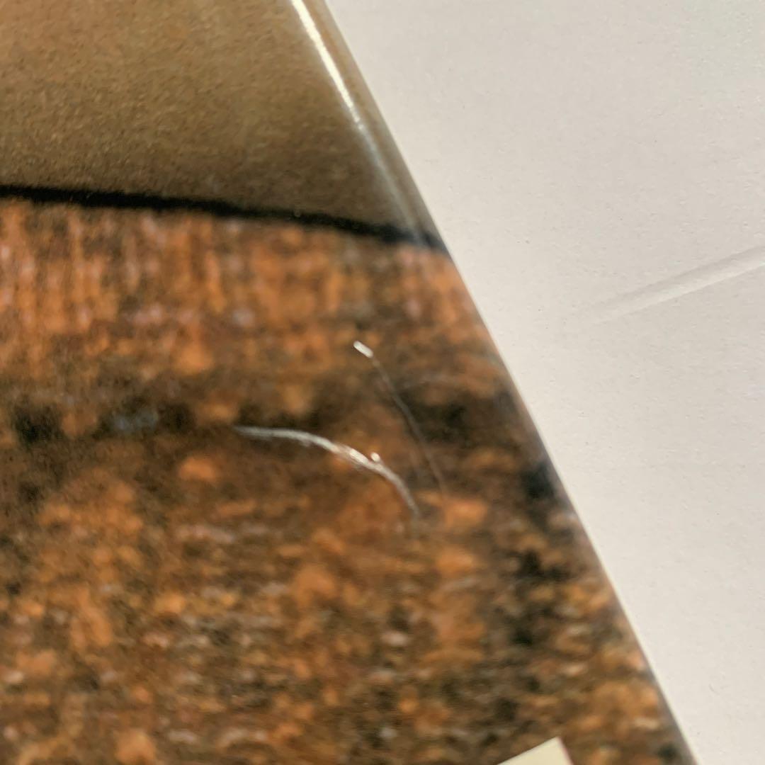 ユルゲンテラーJuergen Teller写真集