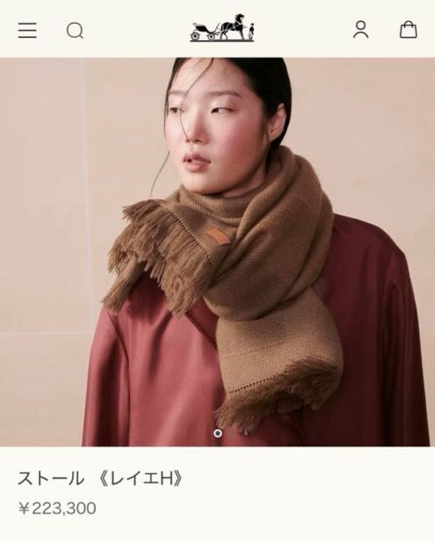 【新品未使用・美品】エルメス ストール マフラー レイエH Rayee H