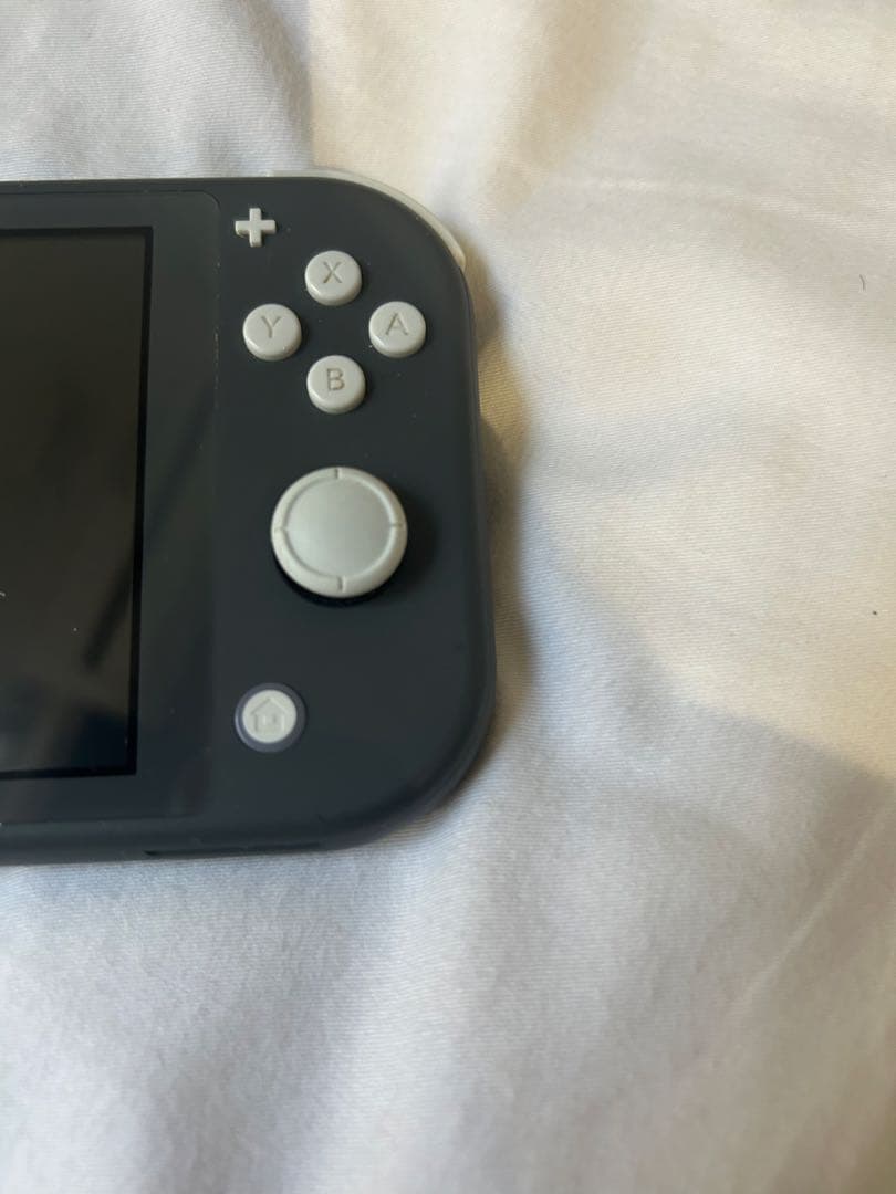 Nintendo Switch Lite グレー 本体　付属品完備