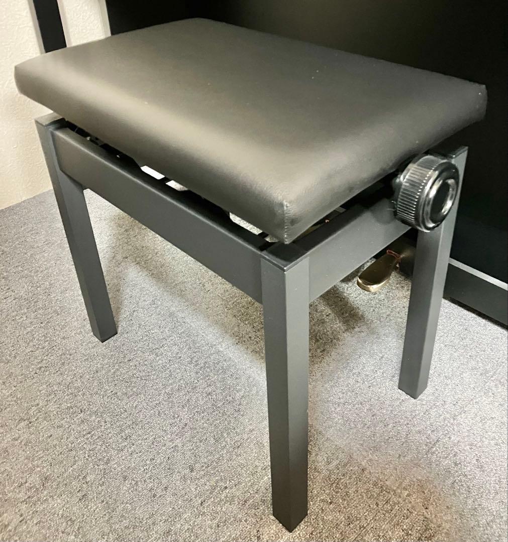 CASIO 電子ピアノ AP-460BK【無料配送可能】