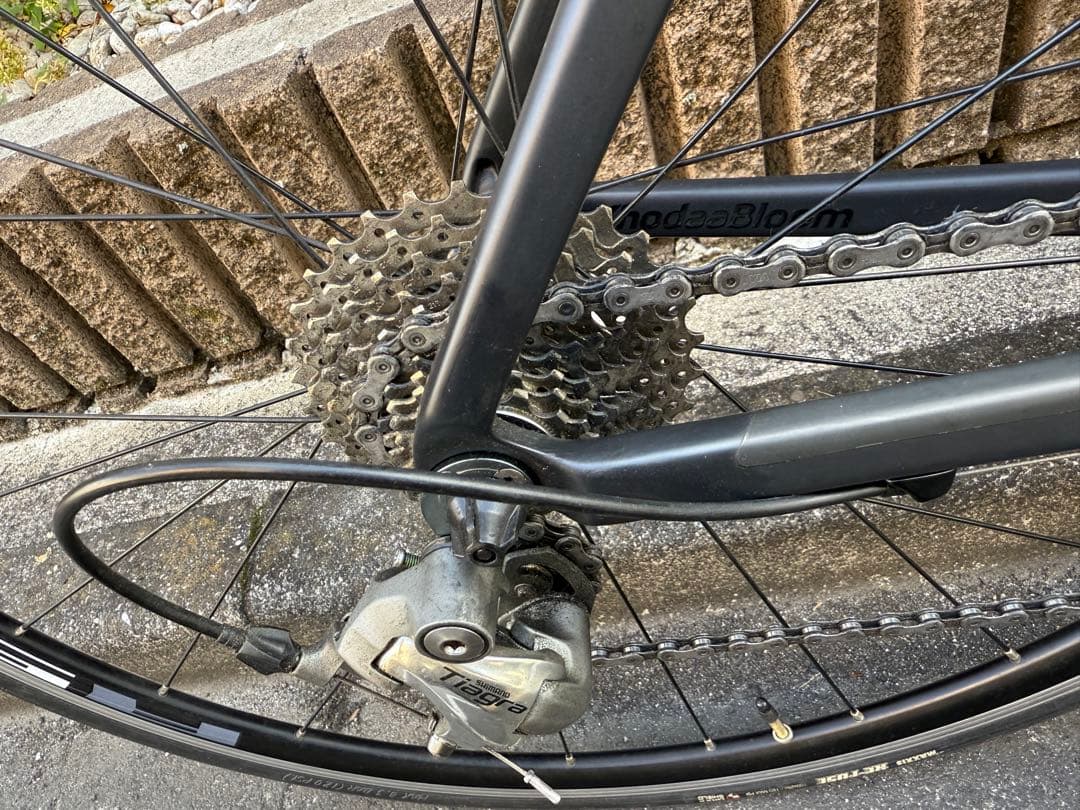 【ワイズロード】オリジナルブランド antares カーボンロードバイク