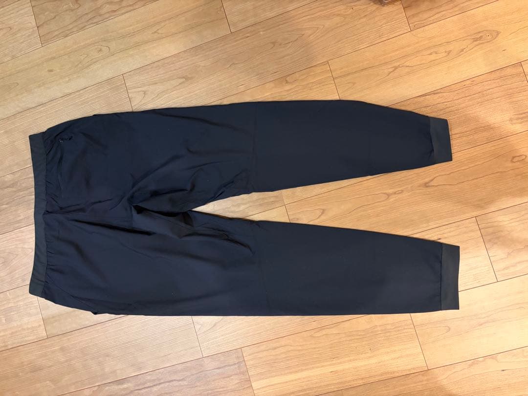 Patagonia メンズ・テルボンヌ・ジョガーズ　Lサイズ