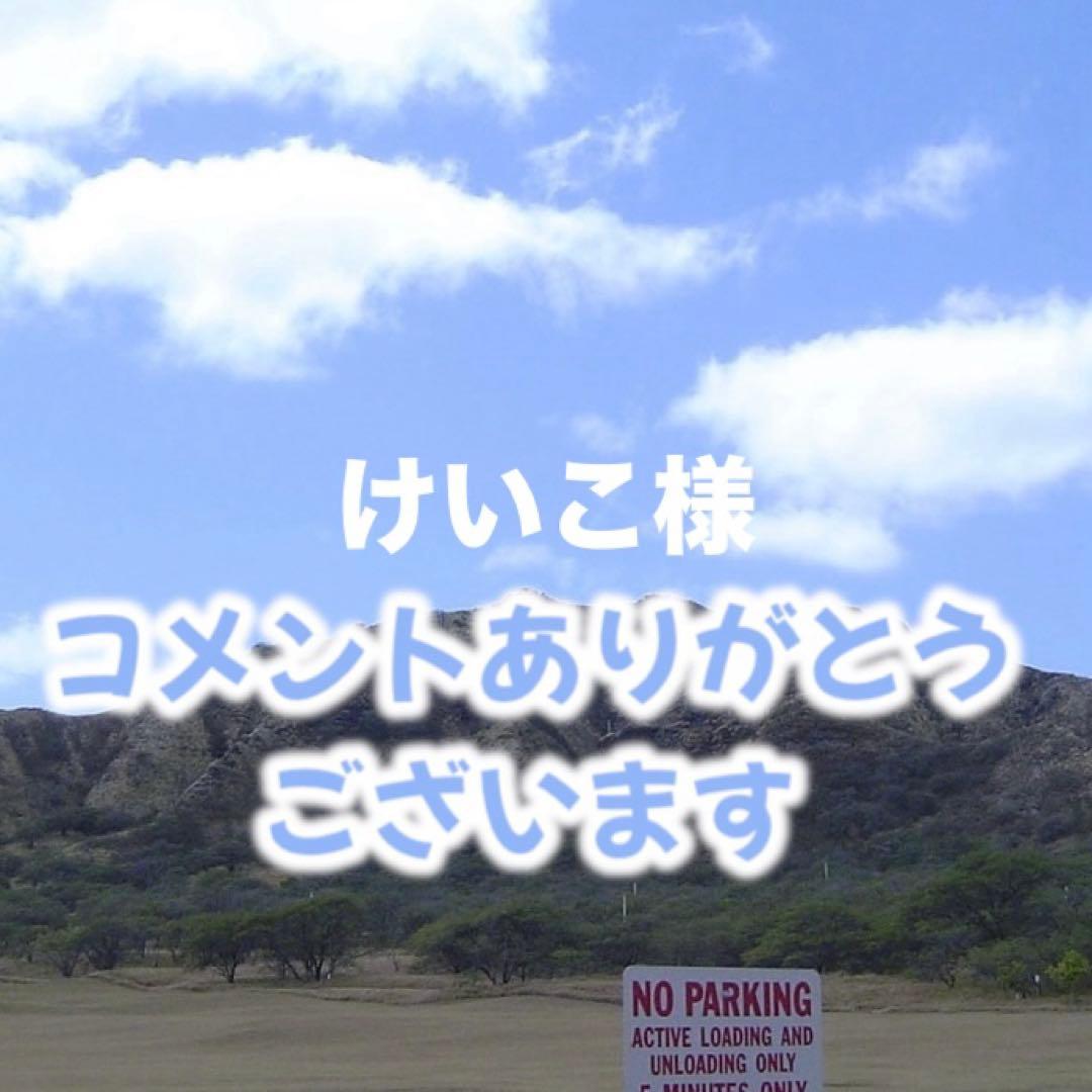 ダッシングディバ　マジックプレス　画像の13点