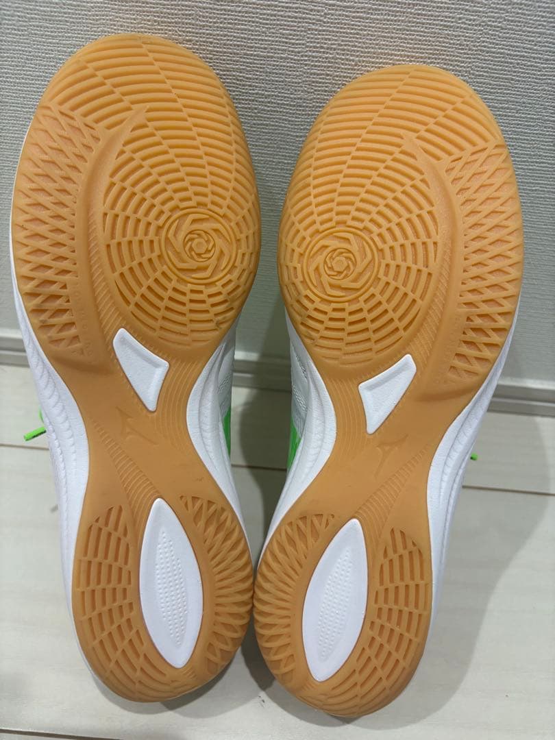 モレリアMORELIA NEOSALAβ屋内用26.5