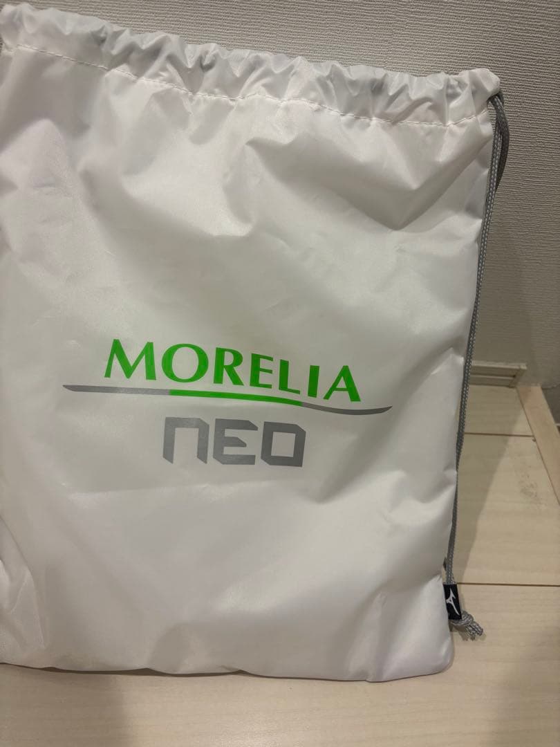 モレリアMORELIA NEOSALAβ屋内用26.5