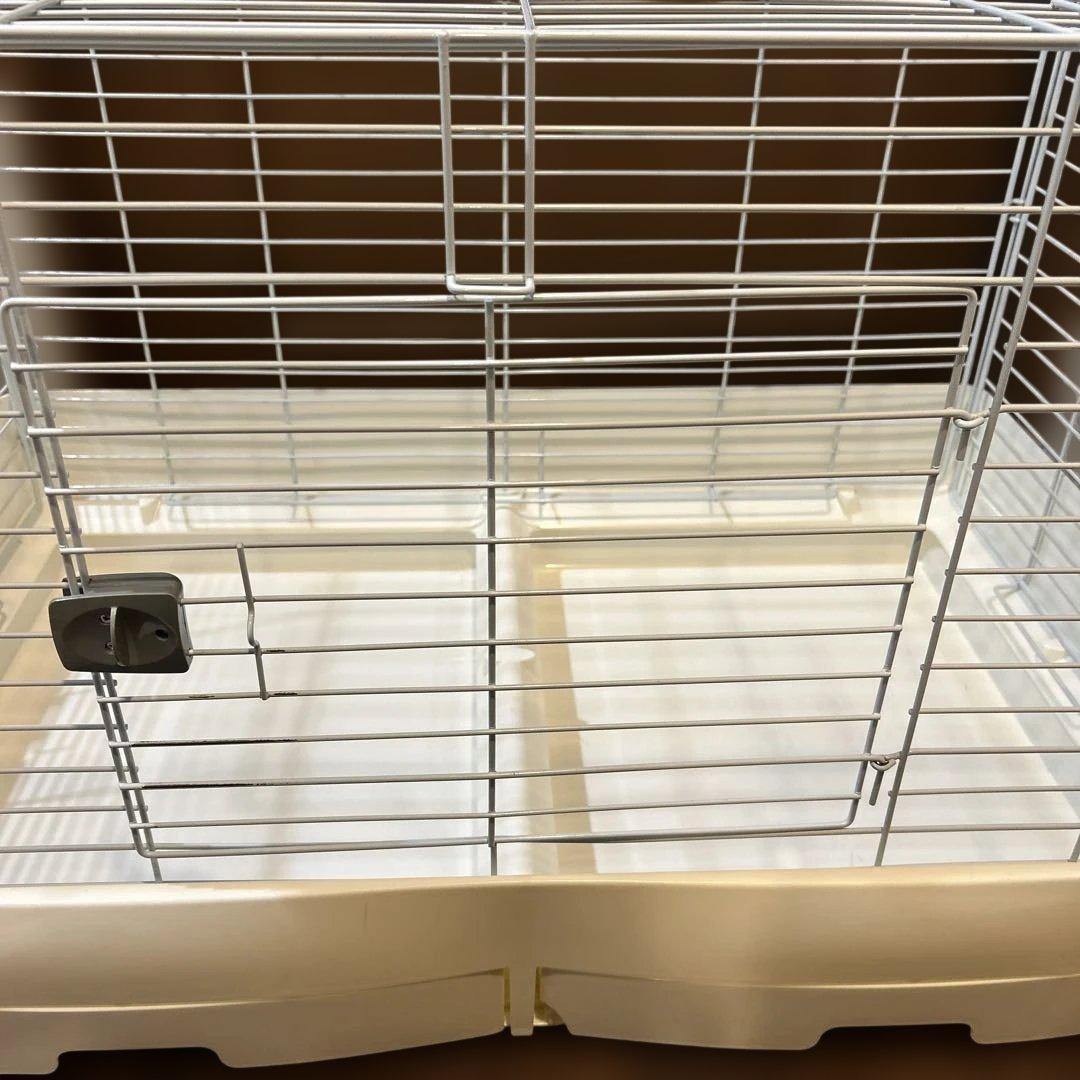 SANKO サンコー　イージーホーム エボ80 自動餌やり機電気ヒーターセット