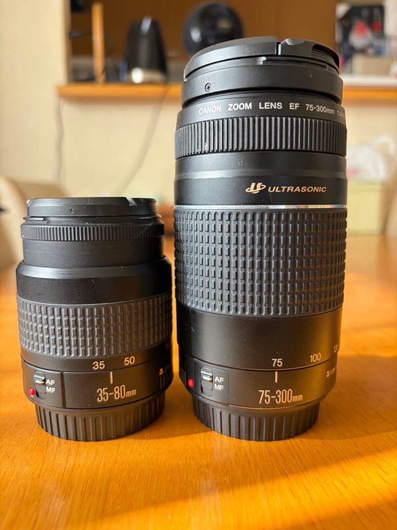 Canon EF 75-300mm ウルトラソニック ズームレンズ