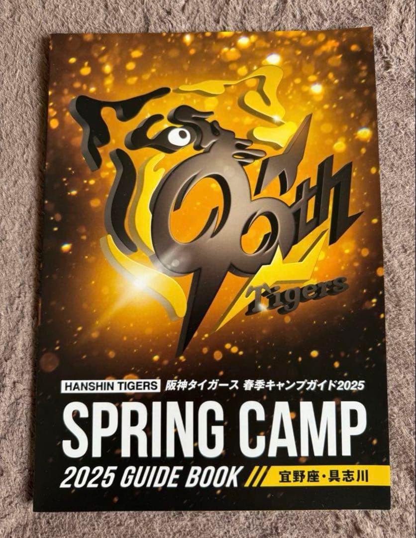 阪神タイガース 佐藤輝明選手 直筆サインボール