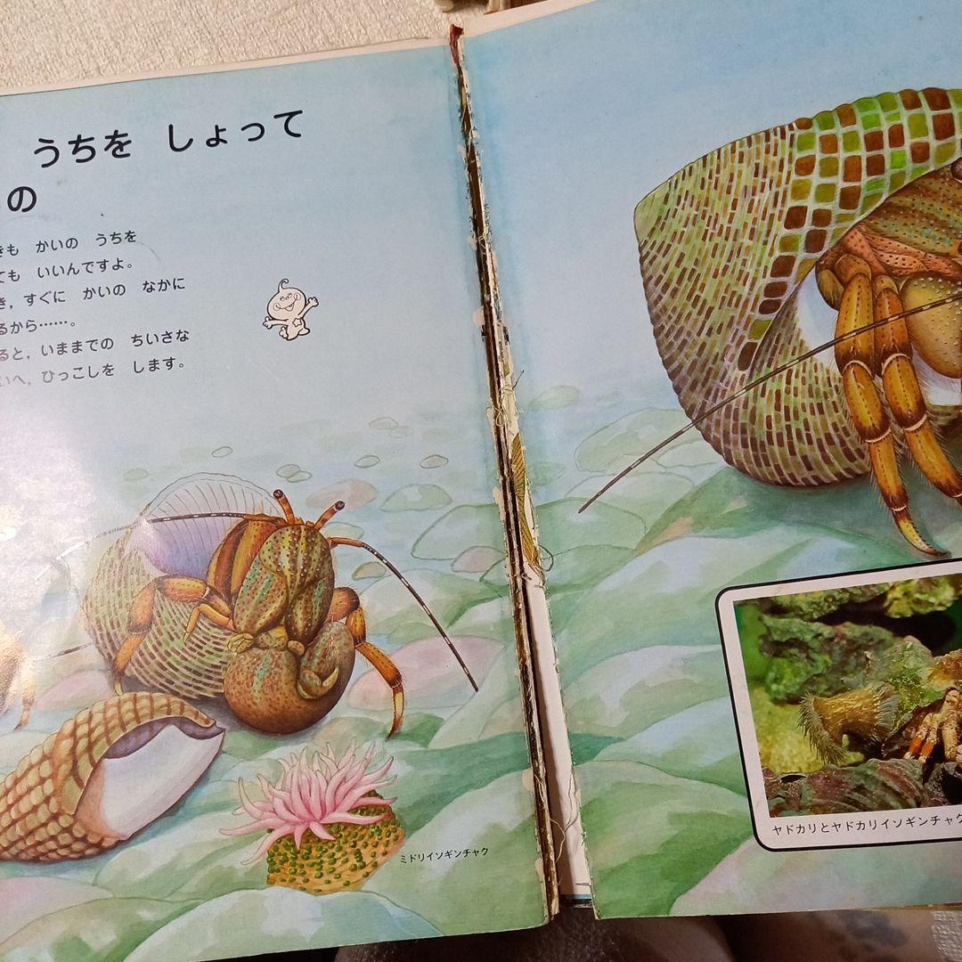 なぜなぜチュータ 　1～15巻　幼児　低学年　本