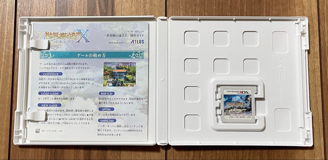 世界樹の迷宮X 3DS
