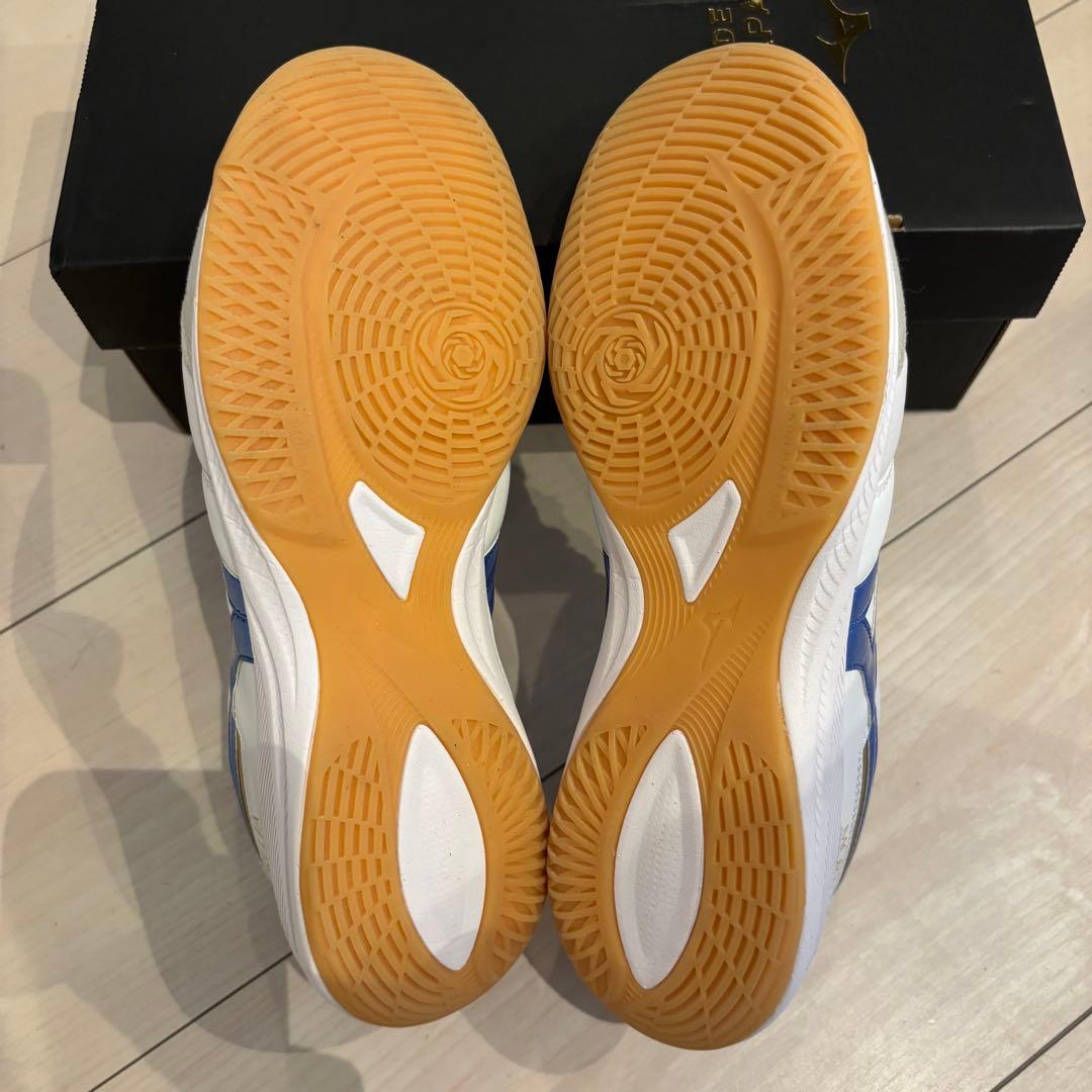 美品24㎝モレリアSALA JAPAN IN 室内