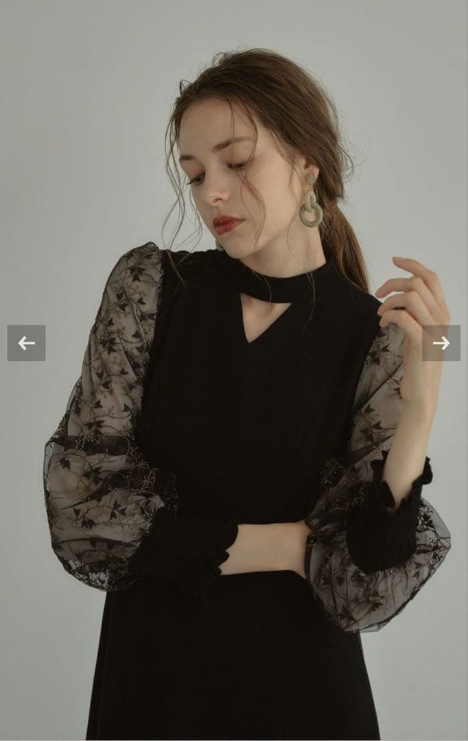 【ANDRESD】 スリーブエンブロイダリードレス