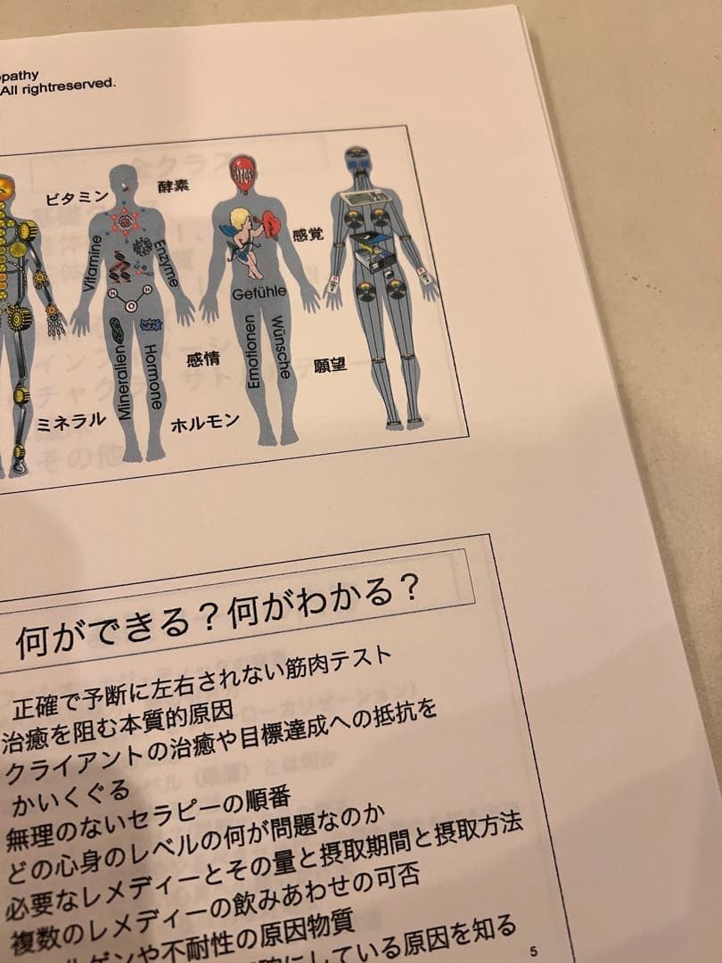 フィシオエナジェティック ( アプライドキネシオロジー カイロ オステオパシー