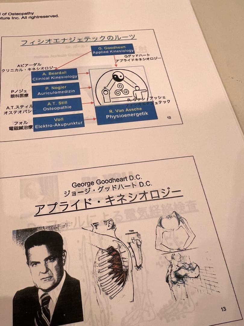 フィシオエナジェティック ( アプライドキネシオロジー カイロ オステオパシー