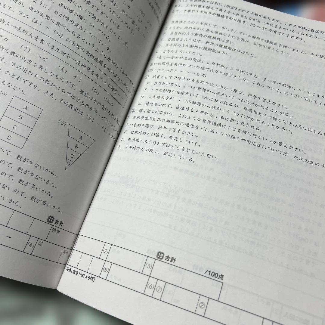 ㉔A未記入　サピックス　SAPIX 6年　理科　サマーサピックス　夏期講習