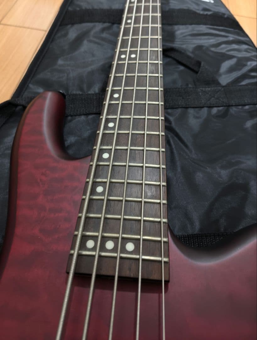 バン SCHECTER STILETTO CUSTOM-5 5弦ベース