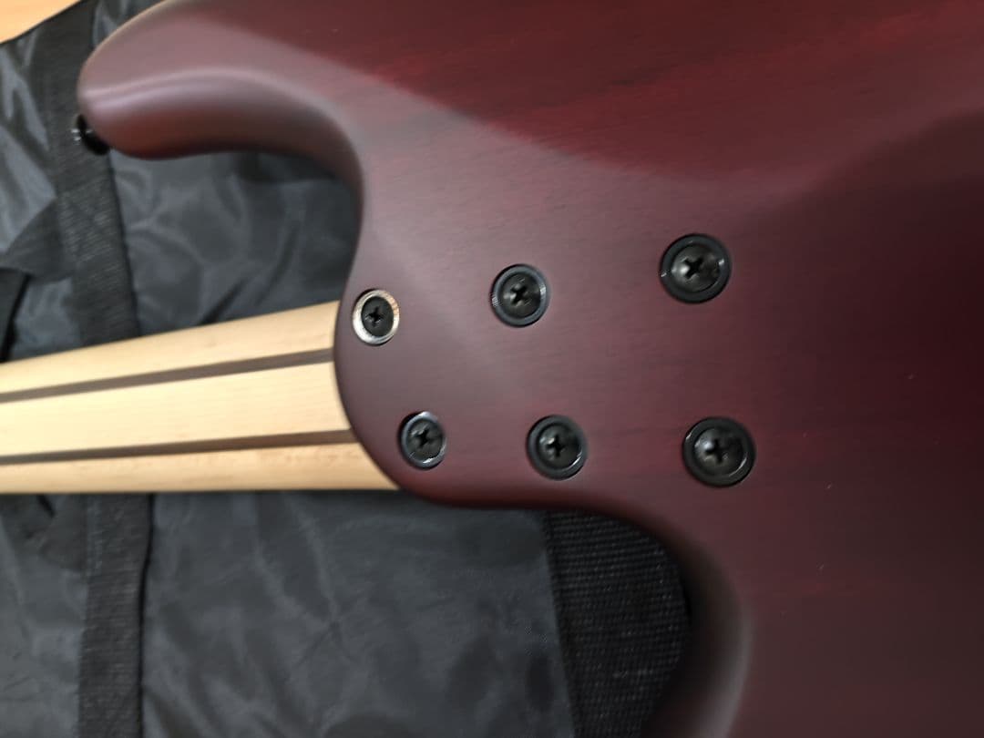 バン SCHECTER STILETTO CUSTOM-5 5弦ベース