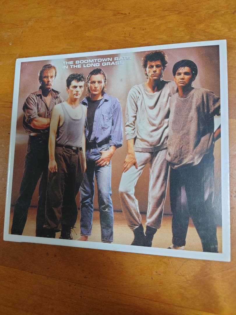洋楽 BOOMTOWN RATS CLASSIC ALBUM SELECTION