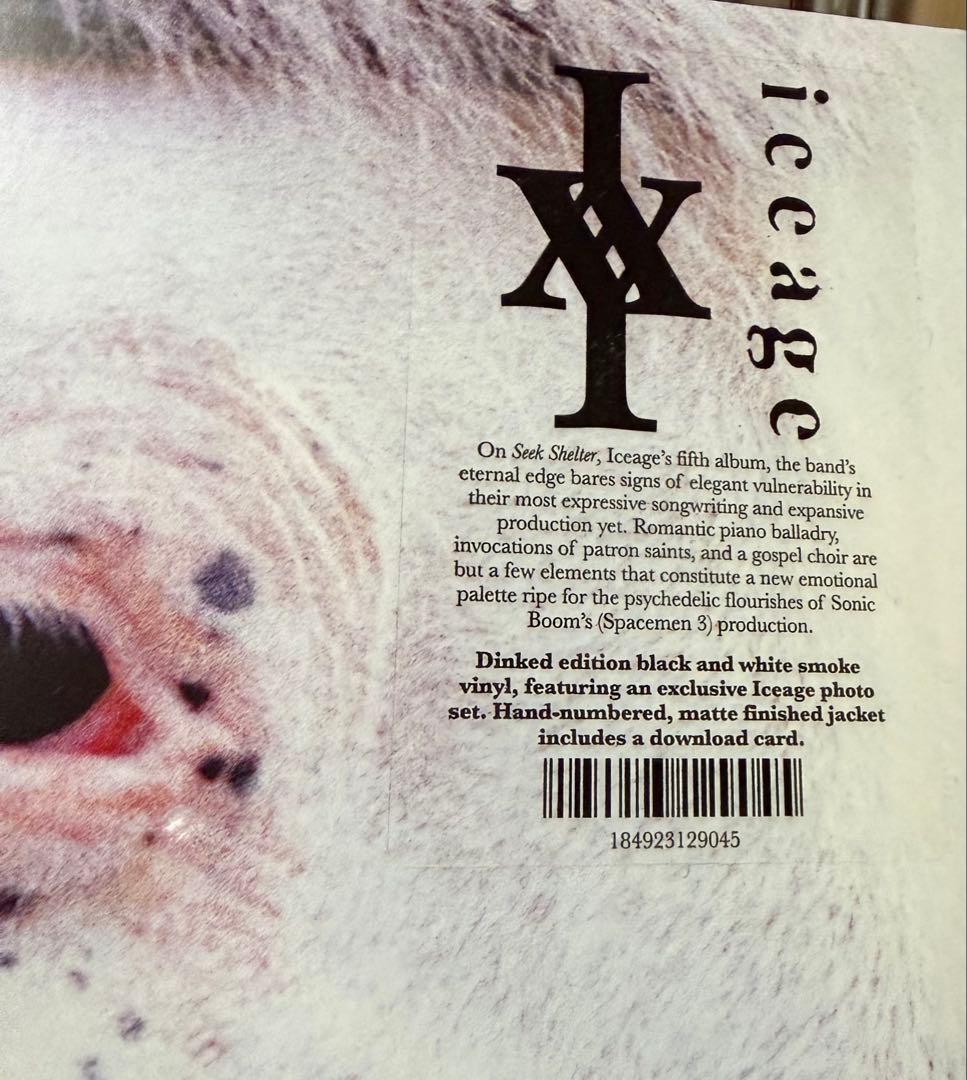 Iceage – Seek Shelter Dinked Edition LP