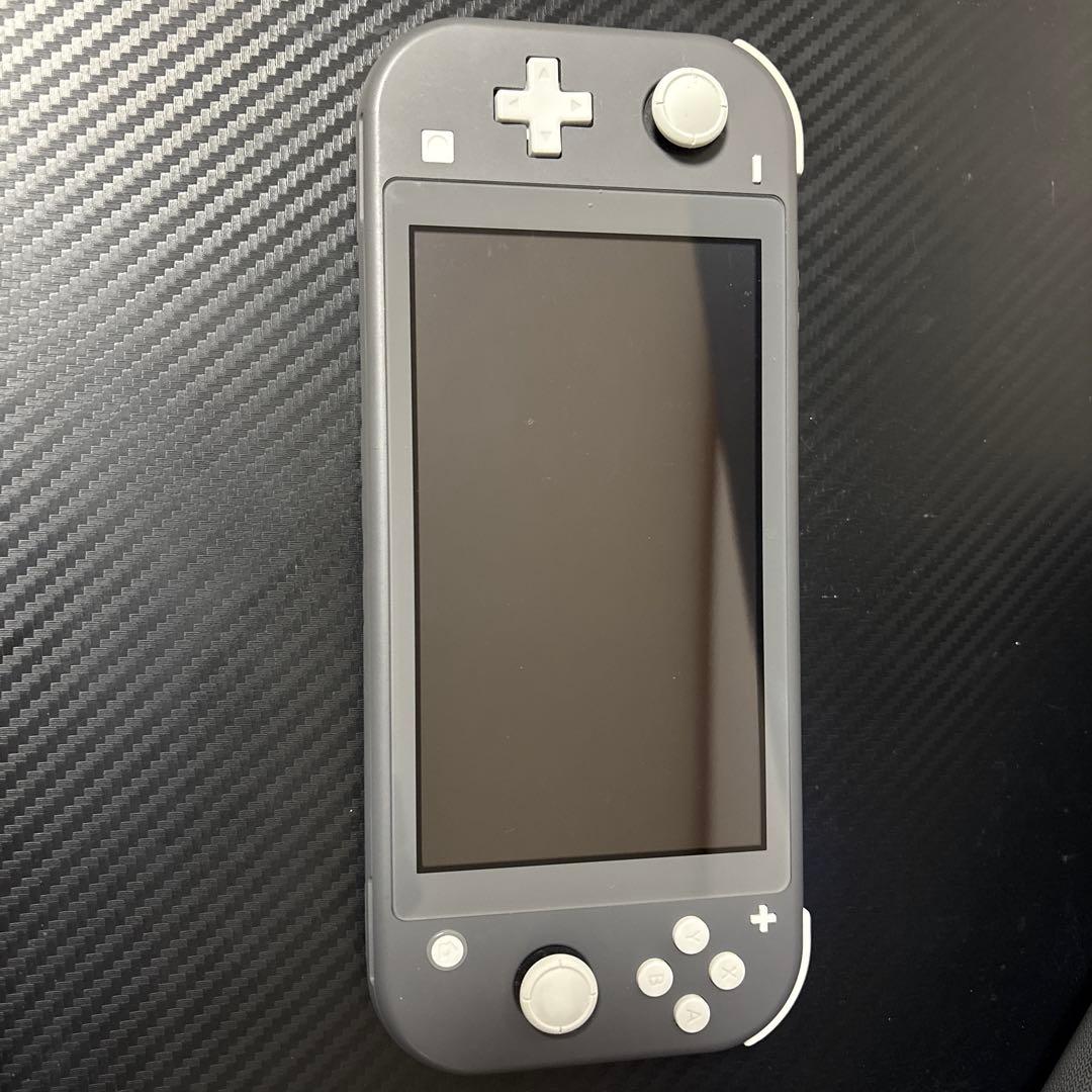 スイッチライト　本体のみ