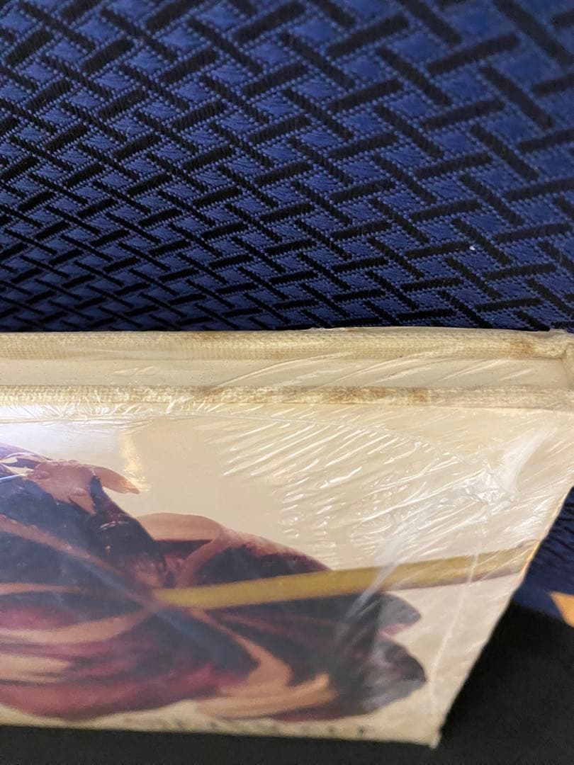 【未開封】Irving Penn Flowers アーヴィングペン 写真集