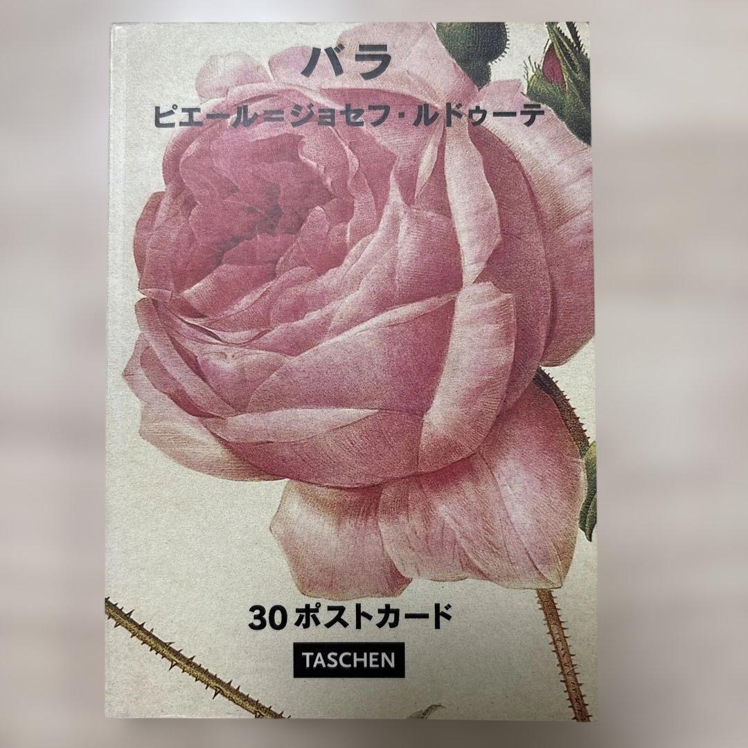 バラ 30ポストカード