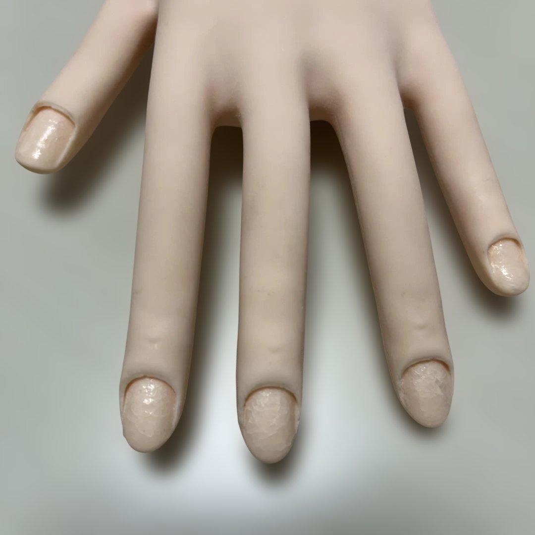 どなー　ネイリスト技能検定　JNEC認定モデルハンド