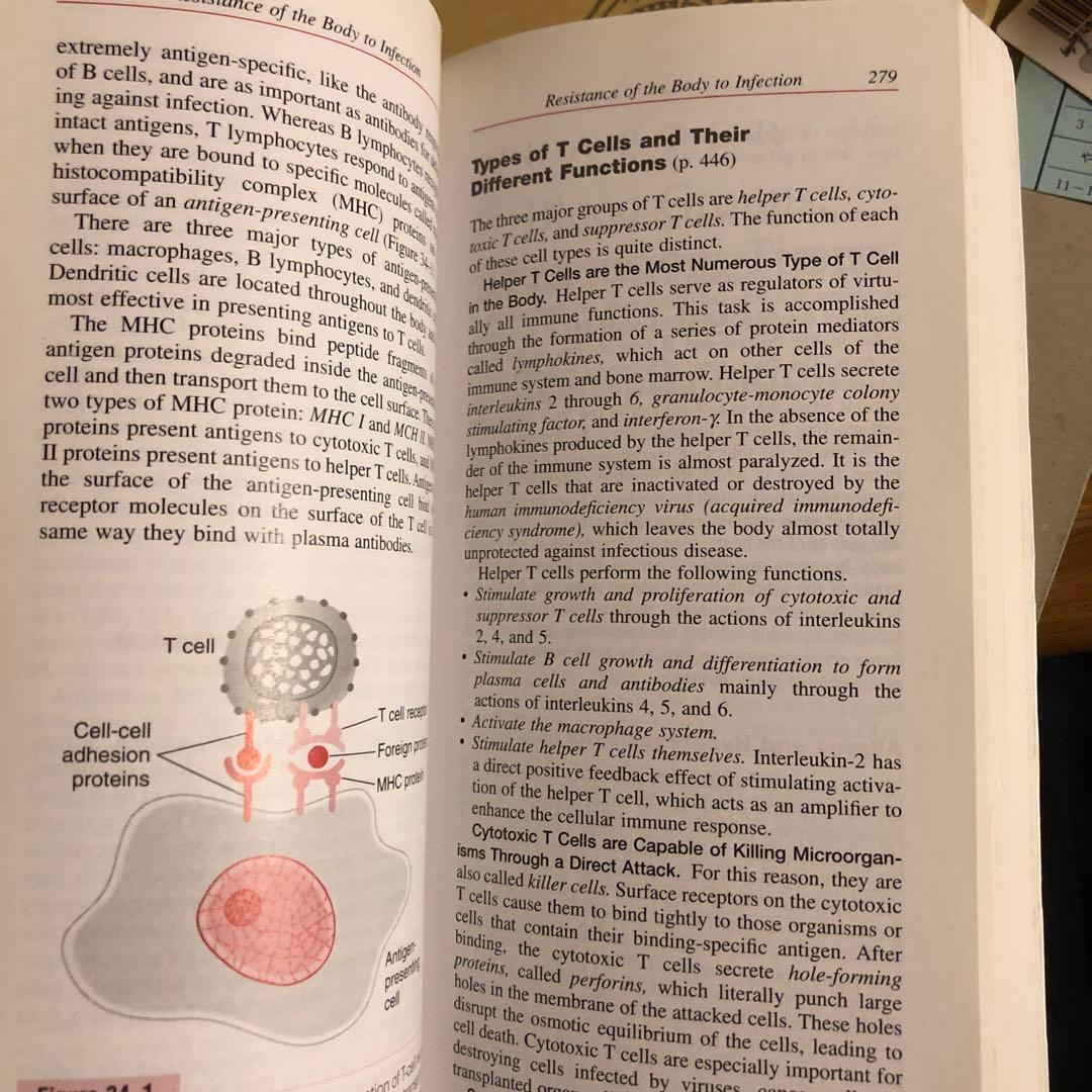 洋書 英語 / 医学生理学の教科書 第11版