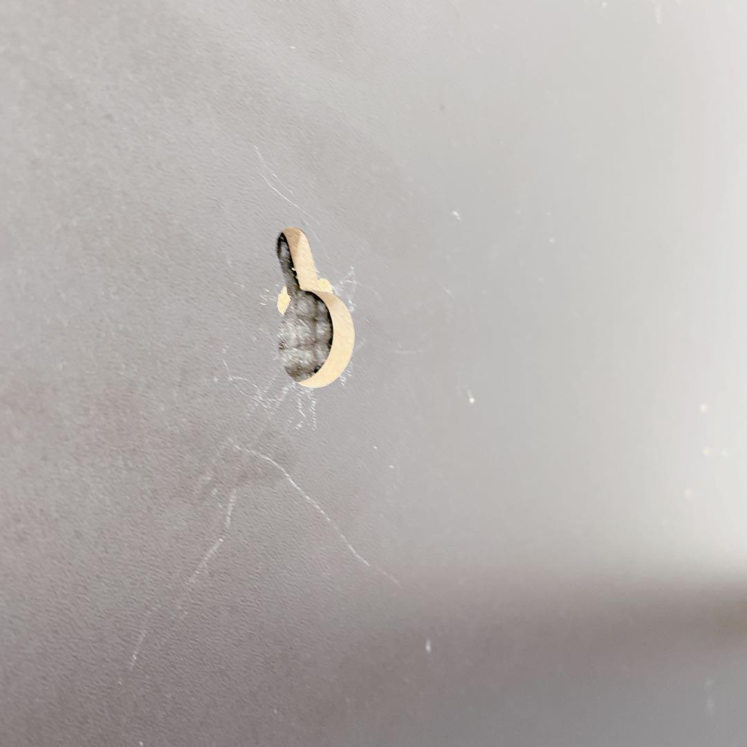 ダーツライブの中身部分のみ　ダーツ ボード 的Dart ゲーム