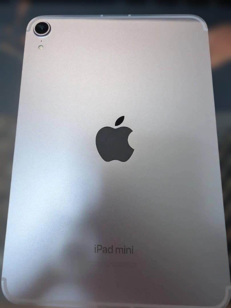 Apple iPad mini (第7世代) 256GB Cellerモデル＋α